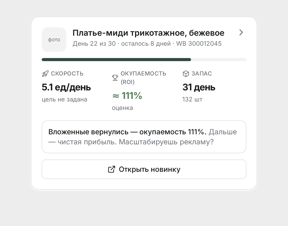 Карточка новинки крупным планом: скорость, окупаемость, запас и подсказка системы