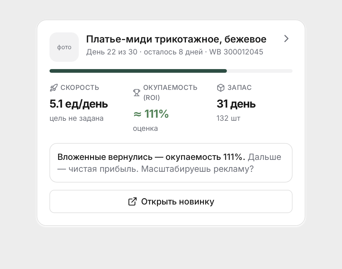 Карточка новинки крупным планом: скорость, окупаемость, запас и подсказка системы